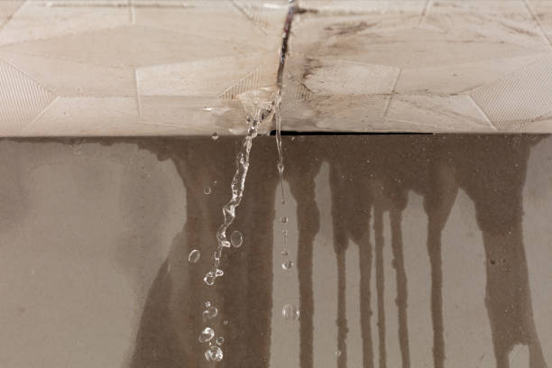 Professional Water Damage Restoration technician working in Daisytown, PA